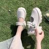 Sapatos Mary Jane Femininos Outono e Inverno 2025 Novos Bico Redondo Sola Grossa Salto Grosso Tira Sapatos Solteiros Fashionáveis e Mais Fáceis de Combinar Saltos Altos