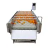 Máquina Limpiadora Automática Paralela de Rodillos, Equipo de Limpieza y Eliminación de Lodo para Mariscos y Moluscos, Máquina Peladora y Limpiadora de Frutas y Verduras