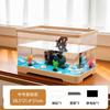 Paisagismo Acrílico para Aquário de Sala de Estar, Aquário de Mesa Transparente de Plástico Ecológico Ultra-Branco, Tanque para Tartarugas, Aquário para Peixes Betta
