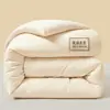 Colcha Antibacteriana de Algodão Cru Classe A, Colcha Espessa de Fibra de Soja, Colcha de Inverno, Colcha de Primavera e Outono, Colcha de Verão, Núcleo de Roupa de Cama para Dormitório de Estudante