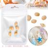 Serie Oceánica Manicura Rodajas de Concha Natural Rodajas de Abulón Estrella de Mar Caracola Playa de Verano Joyería DIY Mayoreo