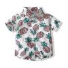 Camisa Casual Estilo Praia para Meninos 2021 Verão Nova Infantil Manga Curta Havaiana Estampa Completa Abacaxi Algodão