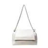 Bolso de hombro de cadena de alta gama Primavera/Verano 2026, bolso de mano nuevo, elegante y versátil 2026, gran capacidad, adecuado para el trabajo