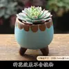 Vasos de Flores Carnudas Ornamentos Criativos para Casa Cerâmica Micro Paisagem Ornamentos Pote de Cerâmica Mini Forno Mudança Micro Paisagem Vaso de Flores Atacado