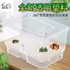 Caja de Cría a Prueba de Escape para Tortugas con Tapa, Caja de Aislamiento Transpirable para Crías de Tortuga, Mini Tanque de Contención Temporal de Plástico, Caja de Almacenamiento para Reptiles