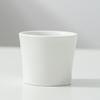 Juego de Té Kung Fu Hotel Mismo Traje Hogar Una Tetera Dos Tazas Tetera Taza de Té Juego Pequeño para Casa de Huéspedes Hotel Juego de Té