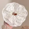 Goma para el pelo de encaje francés, un accesorio para el cabello de alta gama para mujer, perfecto para crear un moño o una cola de caballo elegante. Es un coletero delicado y elegante, disponible en tamaño grande