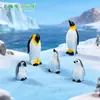 Micro Paisagem Resina Ornamentos Tamanho Antártico Pinguim Glaciar Série Leão Marinho Floco de Neve Iceberg Resina Artesanato Ornamentos