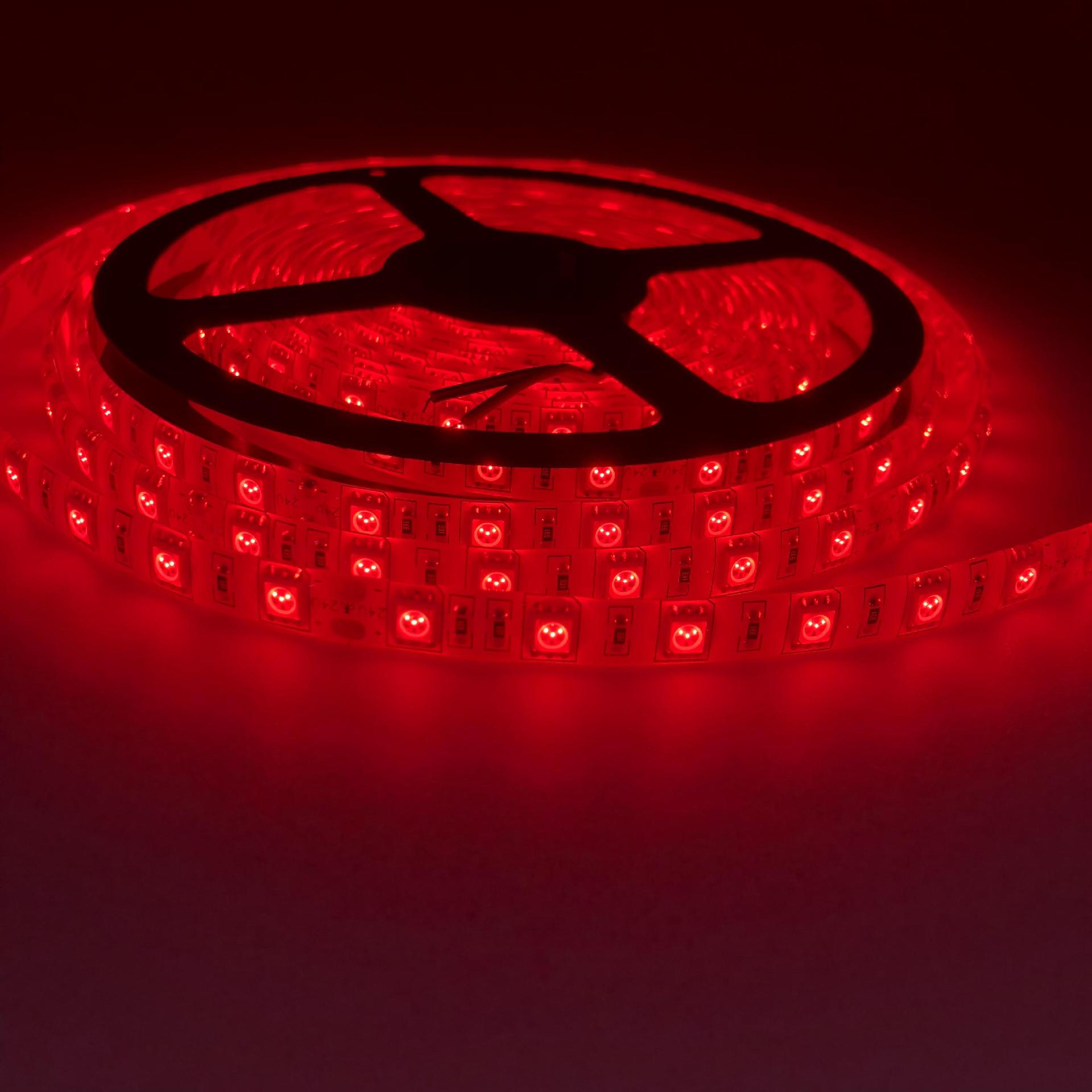 24V 5050  IP65 60LED R (7)