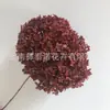 Flor Preservada Haste Única Hortênsia Anna Anna Folha Pequena Bella 40 Cores Personalizado Atacado Presente Dia dos Professores