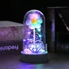 Cubierta de Vidrio Transfronteriza Pequeños Regalos Flores Románticas Adornos Pequeños Luminosos de Escritorio Regalos de Luz de Noche para Escritorio de Pareja