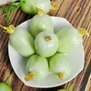 Pepino Fresco Jade Mujer Pepino Fruta Pepino Pulgar Pepino Crudo Pepino Blanco Seco del Noreste Verduras
