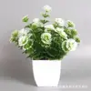 Plantas Simuladas de Venta Caliente Transfronteriza, Plantas Falsas, Plantas Verdes, Decoración para Interiores y Exteriores, Plantas en Maceta de Plástico, Pequeñas Plantas en Maceta de Eucalipto