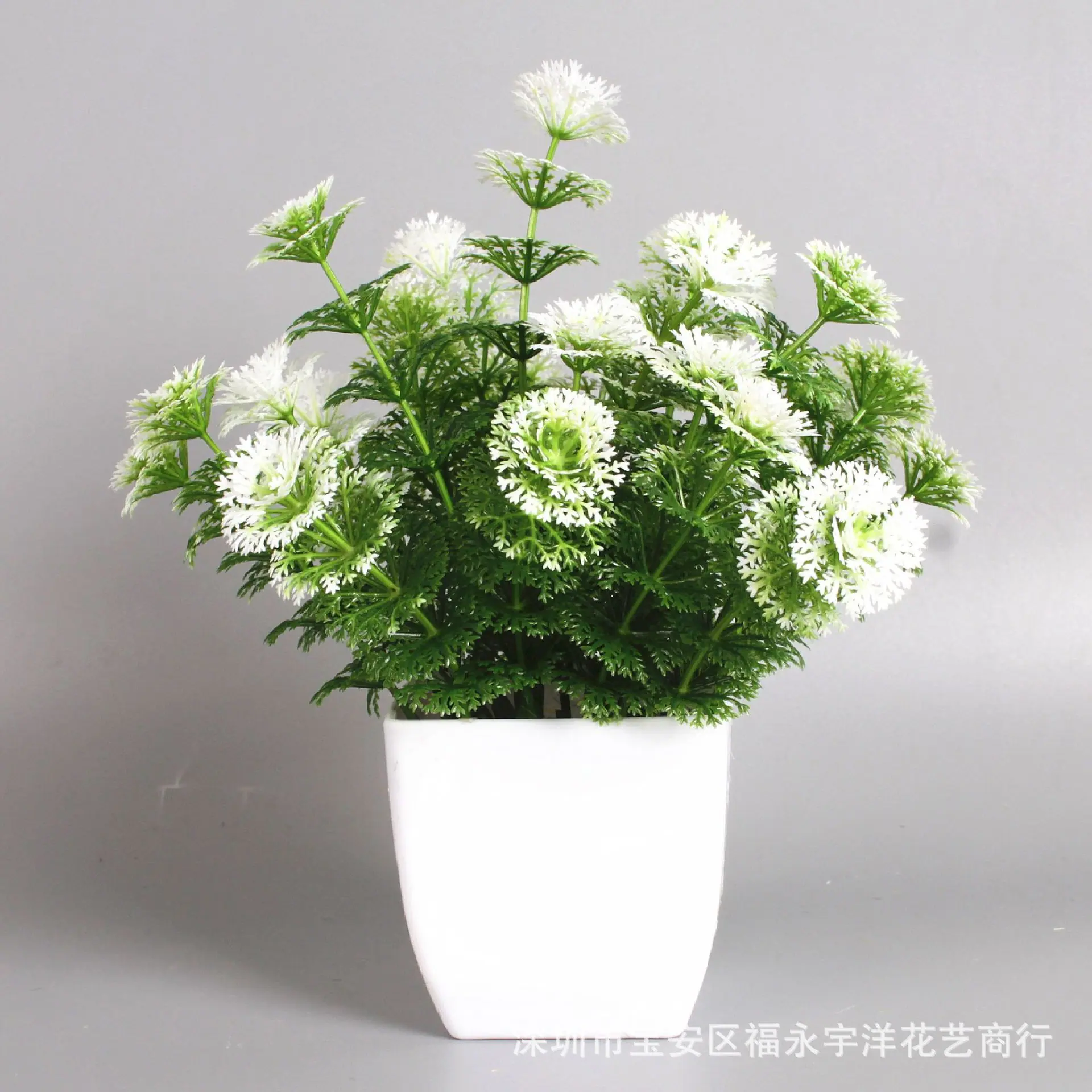 IMG_0824_副本.jpg