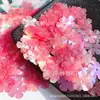 PET Resistente a Altas Temperaturas Lentejuelas de Borde de Flor de Ciruelo Mariposa Bordado Francés Cuentas de Colores Hecho a Mano diy Accesorios Creativos para Ropa