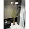 Sauce de Nieve Doble Ramas Frescas y Ramas Secas Maceta Cultivo en Agua Hidropónico Florales de Interior Fácil de Alimentar Empapado en Agua Enraizamiento Sauce Dragón Fácil de Florecer