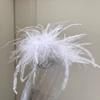 Pinza de pluma clip viento frío avestruz horquilla parte trasera cabeza super hada accesorios para el cabello sentido avanzado clip piel clip tiburón venta al por mayor