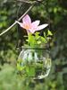 Jarrón de Vidrio Transparente Colgante Botella Colgante Calabaza Pequeña Dispositivo Simple Hidropónico para Flores Jardinería de Interior Decoración del Hogar Botella