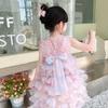 Saia Bolo de Verão para Menina 2024 Nova Saia Slip Arco-Íris Infantil Vestido de Verão para Menina Saia Princesa de Fio Puff