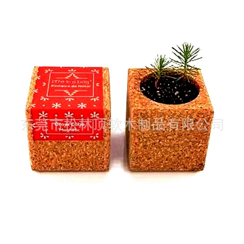 软木盆景绿植套件