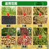 Máquina Multifuncional Desgranadora de Arroz de Gran Calibre, Máquina Desgranadora de Colza de Alimentación Completa, Cosechadora de Trigo y Sorgo de Doble Rodillo