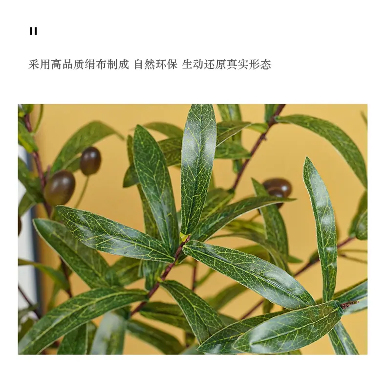 罗加4叉橄榄带果_06.jpg
