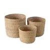 Nuevo Cubo Abrazador Oso Celebridad de Internet Cesta de Flores Cesta de Flores Tejida Cesta de Flores para Regalo Cubo para Arreglos Florales Maceta para Plantas Cesta de Almacenamiento En Stock