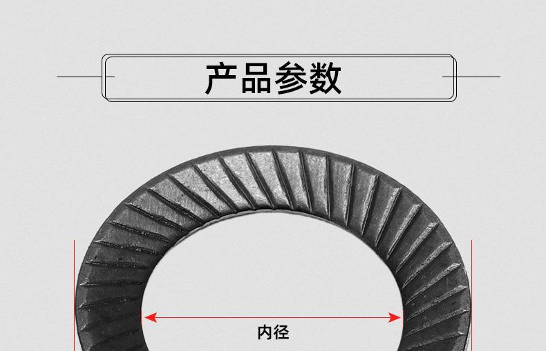 双面齿垫圈_03_12.jpg