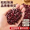 Feijão Vermelho Roxo Autêntico, Feijão Vermelho, Especialidade de Yunnan, Feijão Vermelho Grande para Mingau e Sopa, Feijão Vermelho, Atacado e Varejo