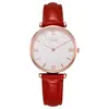 Llegada Nueva 2024 Moda Atractiva Versátil Gipsófila Reloj de Cuarzo para Mujer Transfronterizo Popular Moda Estudiante Reloj Simple para Mujer