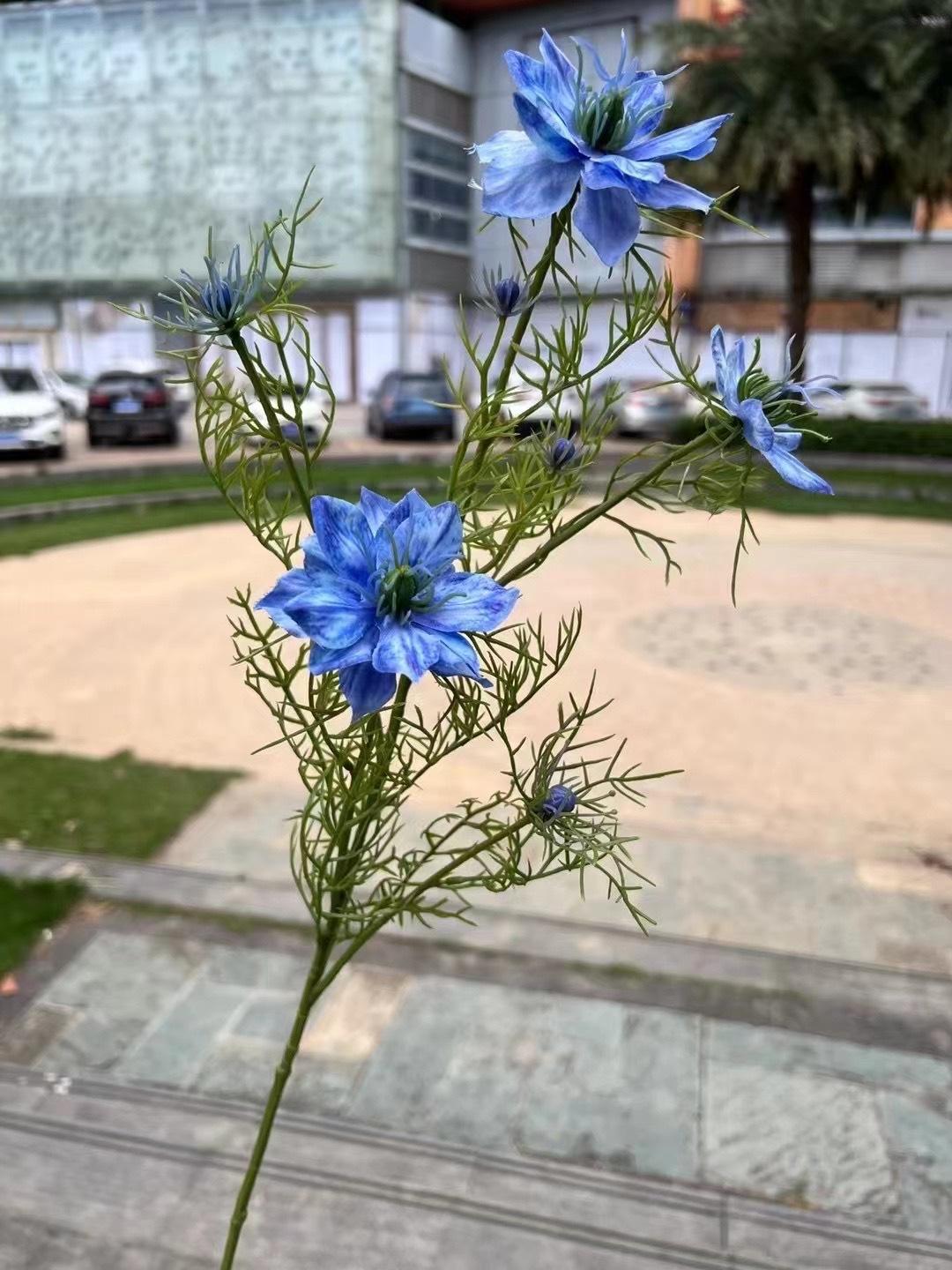 微信图片_20240818143647.jpg