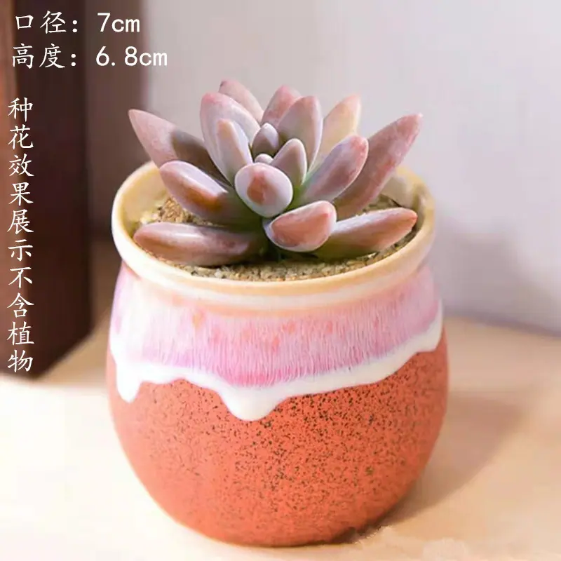 奇140粉