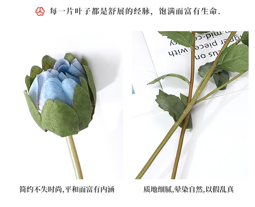 2头迷你大丽花_08.jpg