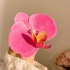 Horquilla de Flor de Simulación Atmósfera Foto Accesorios para el Cabello Morado Phalaenopsis Horquilla Verano Vacaciones Costeras Flequillo de Mujer