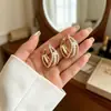 Aretes de clip de lujo ligero de moda, brazaletes para oreja versátiles, temperamento, personalidad, modernos, aretes de celebridad de internet, aretes pequeños exquisitos, al por mayor, oro