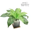 Plantas Verdes Artificiales, Manojo Individual de Hiedra Verde de 7 Ramas, Hojas de Monstera, Hojas Persas, Flores Falsas, Flores de Plástico Artificiales, Accesorios para Paredes de Plantas, Hojas