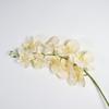 Arreglo Floral de Orquídea Mariposa Artificial de 9 Cabezas para Decoración del Hogar, Decoración de Bodas, Accesorios de Fotografía, Jarrón, Flores Artificiales, Decoración del Hogar