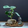 Dropshipping Zen Pequeña Esperanza Bodhi Plantas en Maceta Flores de Interior Cuatro Estaciones Sala de Estar Observación de Hojas Oficina Plantas Verdes Fácil de Mantener