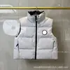 Comércio Exterior Transfronteiriço Grande Marca 2267 Colete Feminino Curto de Penas Gola Alta com Zíper Colete Espessado Quente Versátil Casual