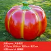 Esculturas Grandes de Frutas y Verduras Huerta de Frutas y Verduras Diseño de Granja Decoración de Modelado de Paisaje Adornos de Calabaza Modelos