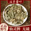 Materiales Medicinales Chinos Epimedium Xianlingpi Cistanche Deserticola Morinda Officinalis Cynomorium Cynomorium Té Materiales Medicinales Chinos de Chengdu Hojas de Epimedium