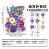 Marcapáginas de flores secas especímenes colección de primavera en botella de película plástica materiales hechos a mano para manualidades estudiantes de primaria flores transparentes