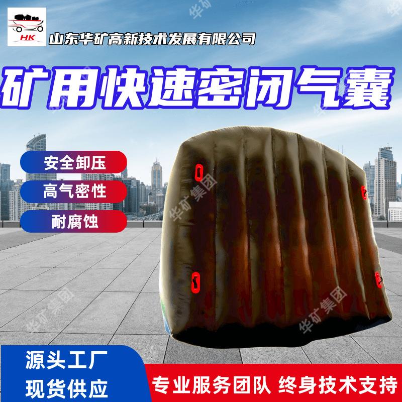 气囊 (2)_副本
