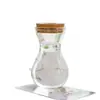 Vaso de Vidro Hidropônico Transparente Minimalista Criativo para Cultivo de Plantas Verdes Como Jiboia, Osmanthus e Pinheiro Arhat