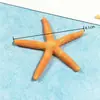 Acessórios de resina: Estrela do Mar, Peixe Pequeno, Tartaruga, Micro-Paisagem, Caranguejo Laranja, Estrela do Mar Laranja, Baiacu Amarelo, Peixe-Palhaço Amarelo