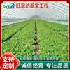 Invernadero para plantación de uva, exportación transfronteriza, invernadero para melón, película para invernadero, invernadero para plantación de fresa, plantación de sandía, película para cobertizo de estructura de acero