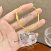 Pingente Bola de Pelo de Gato Armazenamento de Pelo de Gato Pequeno Pingente Caixa Transparente para Armazenamento de Pelos Garrafa de Coleta de Pelos de Pet Chaveiro