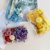 Decoración artesanal DIY mixta, set de flores eternas y flores secas, material para marco de fotos DIY, material de flores, bolsa para repujado