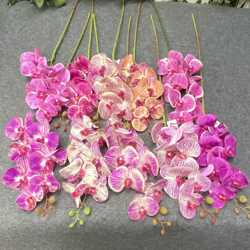 7头所有颜色 必须上传