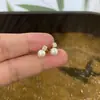 Estilo Japonés y Coreano Lujo Ligero Simple Moda Versátil Pendientes Doble Cara de Trébol de Amor con Gancho para Oreja Joyería de Acero de Titanio Conjunto Estilo Chanel